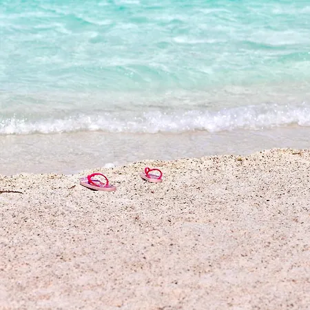 Lägenhet Nina Selce